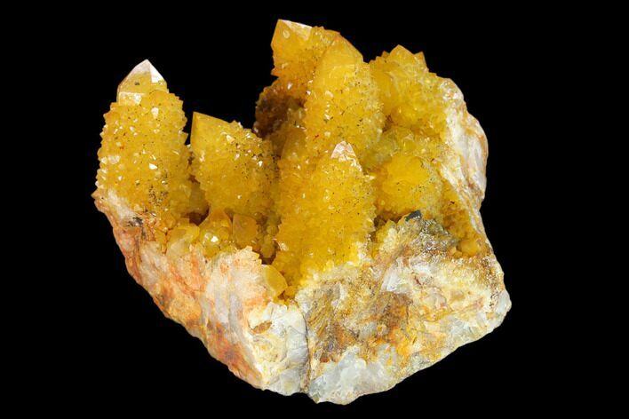 Sunshine Cactus Quartz Crystal Cluster - South Africa #132896